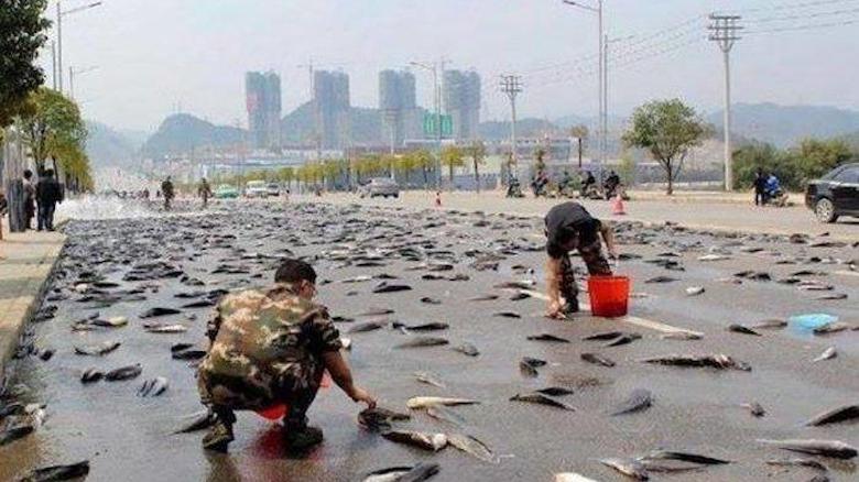 Kompas Inside [6] Menyadap Ilmu Pengetahuan dari Perpustakaan